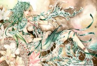 Mermaid Lily